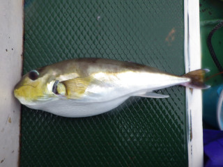 Imgp5789