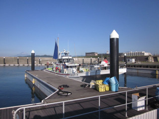 Llf091212_011
