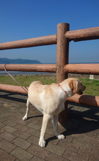 Manabu_1