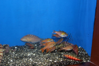 Marinepark2