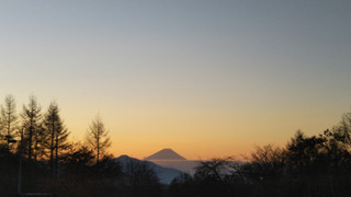Maro111403