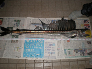 Mizuuo
