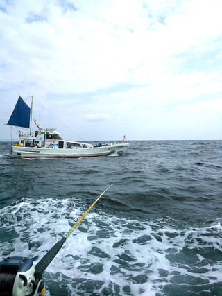 Ncm_0397