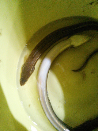 Ncm_0502