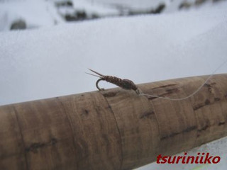 Ninfu