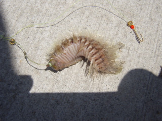 P7110096