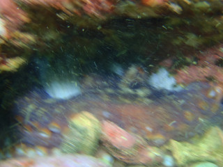 P9100017