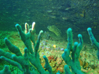 P9100043
