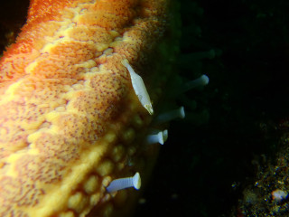 P9100059