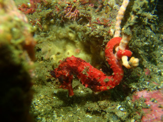 P9100116