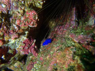 P9100140