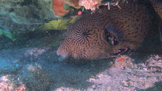 Pa060289