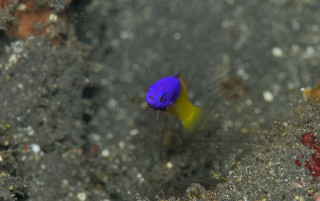 Photo_10