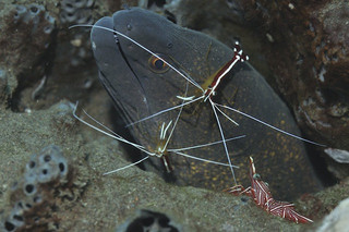 Photo_12