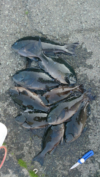 Photo_2
