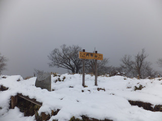 Photo_2