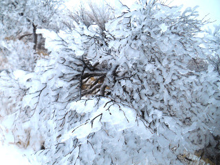 Photo_2 Photo_2