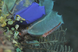 Photo_3