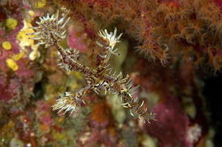 Photo_3