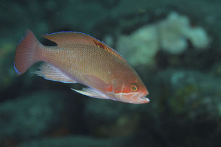Photo_3
