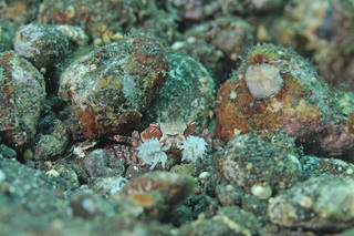 Photo_4