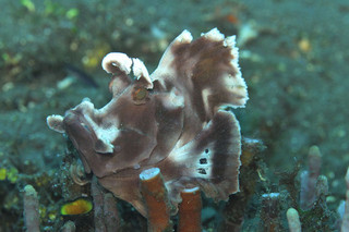 Photo_5