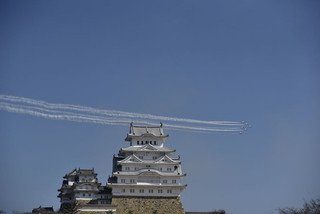 Photo_5