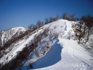 Photo_5