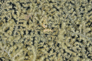 Photo_6