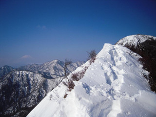 Photo_6