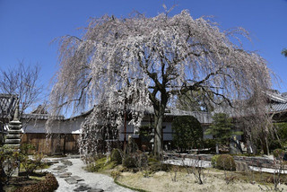 Photo_6