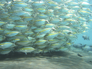Photo_6