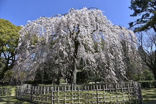Photo_7