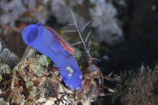 Photo_7