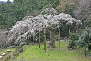 Photo_8