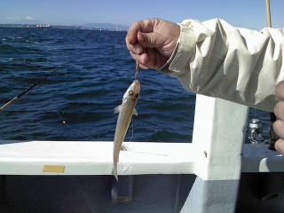 Picture111012_1059181