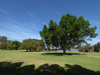 R0011258