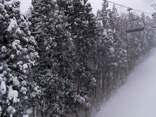 R0022332