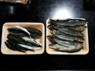 Rps20130530_221614_3
