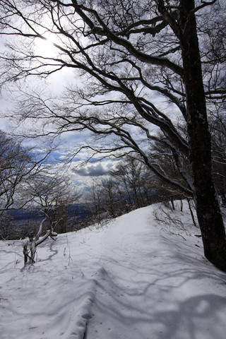 Sanpo_2