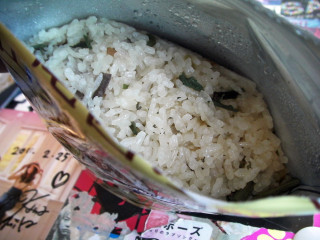 Sany3418