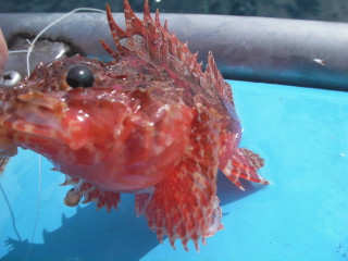 Sany5513_2