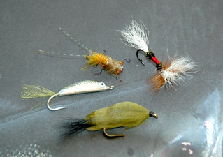 Thefly0072
