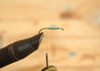 Thefly0079