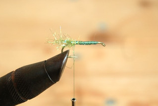 Thefly0080
