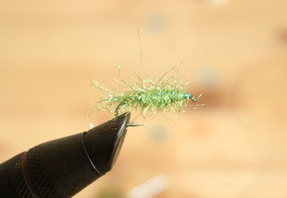 Thefly0086_2