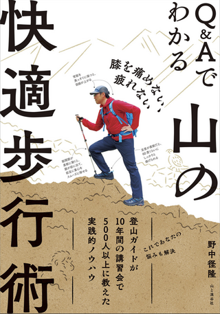 膝を痛めない、疲れない Q＆Aでわかる山の快適歩行術  / 野中径隆さん著