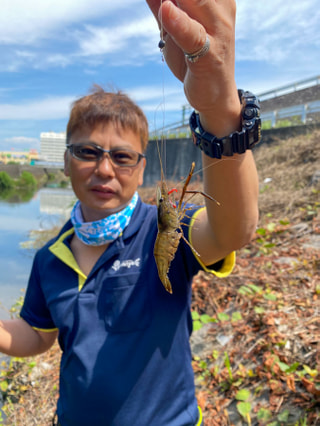 初心者にオススメの釣り「手長エビ釣り」①