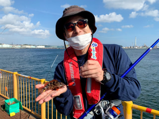 初心者にオススメの釣り「サビキ・ちょい投げ釣り」③
