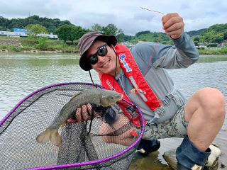 爆釣モーニング「相模川での鯉釣り実釣レポート」